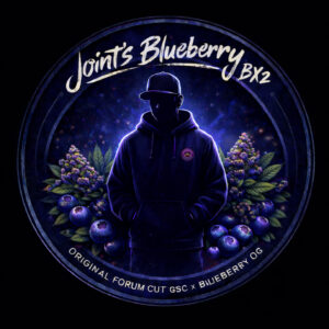 Joint's Blueberry Bx2